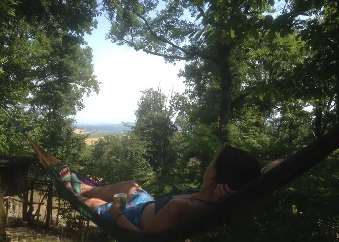 캠프장 & Mayari Escosse