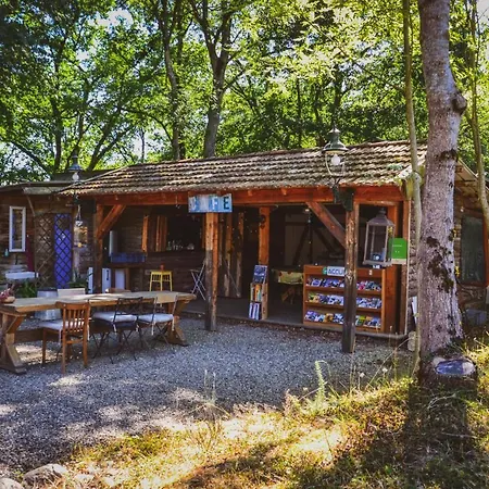 Camping & Mayari 3*