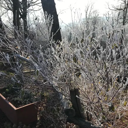 & Mayari キャンプ場 3*