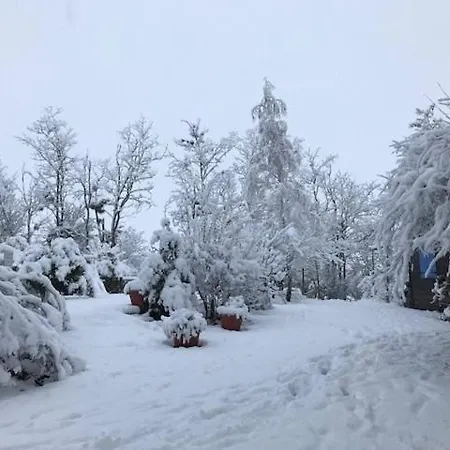 キャンプ場 & Mayari 3*