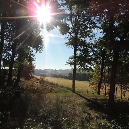 キャンプ場 & Mayari