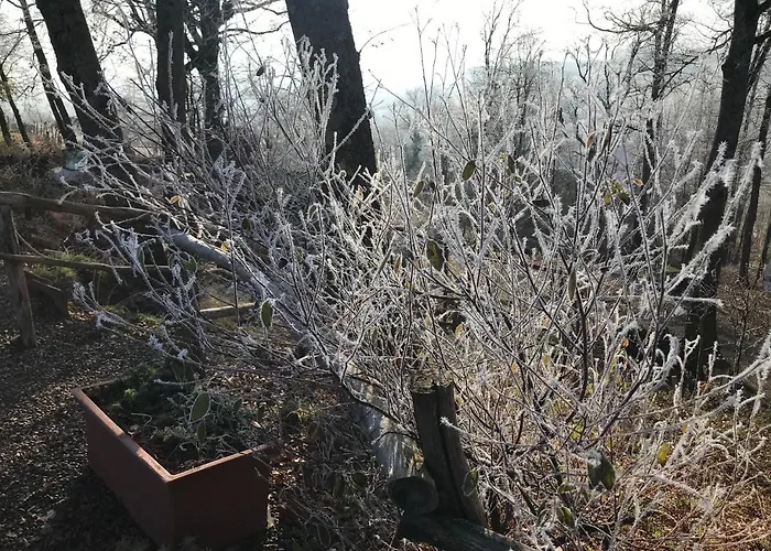 & Mayari مكان تخييم 3*