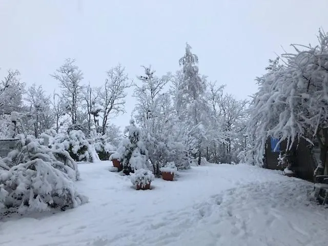 مكان تخييم & Mayari 3*